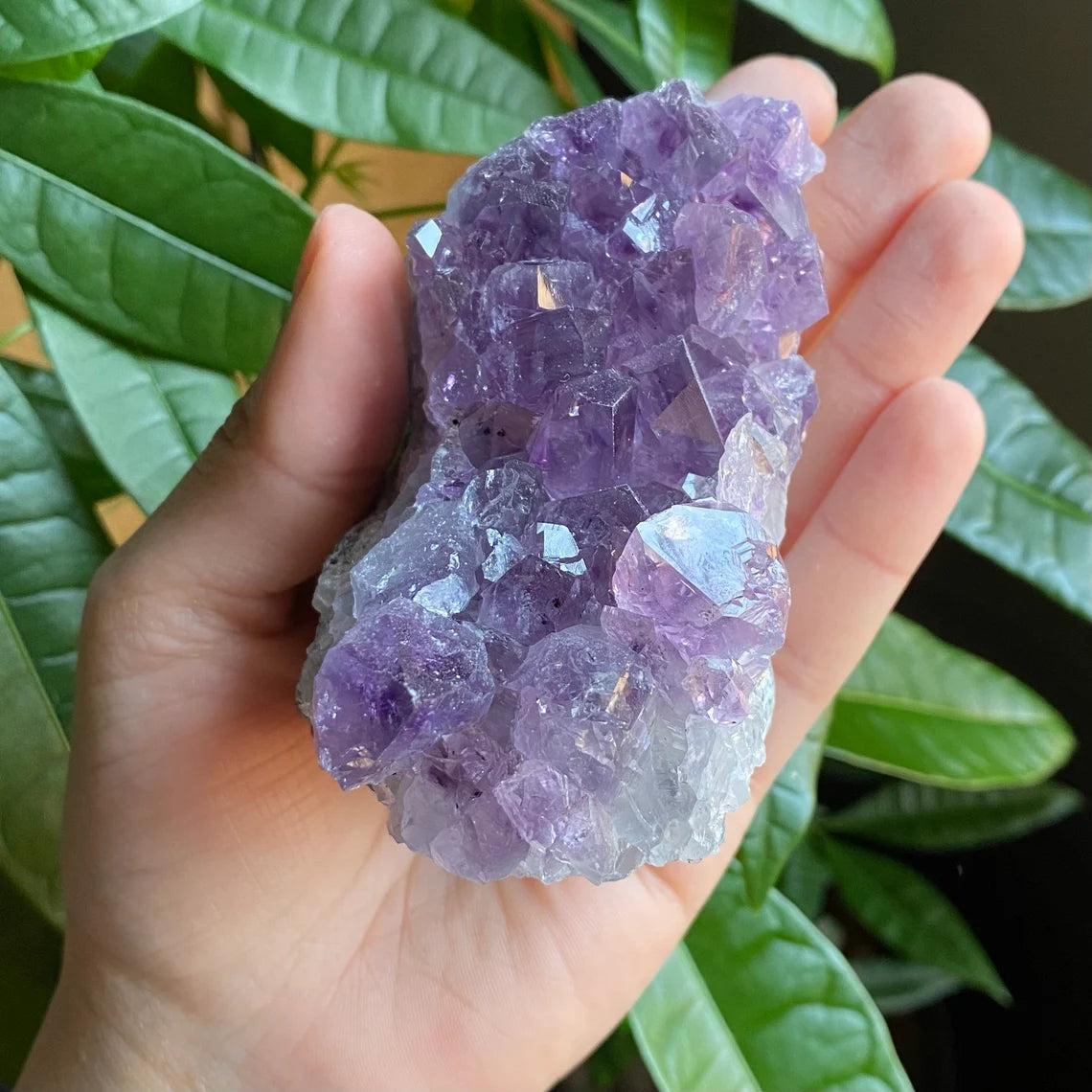 Raw Amethyst Geode | 13.3 oz | 3.3” | Rough Amethyst | Cathedral Amethyst | Crystal Cluster | Cut Base | Uruguay | Free Standing | AG5