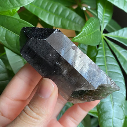Smoky Quartz Point | 5.1 oz | 3.5 in | Crystal Point | Natural Quartz | SP16