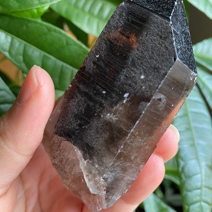 Smoky Quartz Point | 5.1 oz | 3.5 in | Crystal Point | Natural Quartz | SP16