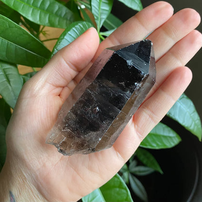 Smoky Quartz Point | 5.1 oz | 3.5 in | Crystal Point | Natural Quartz | SP16