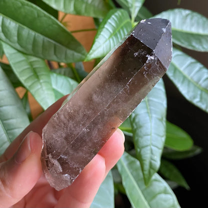 Smoky Quartz Point | 3.7 oz | 3.7 in | Crystal Point | Natural Quartz | SP15