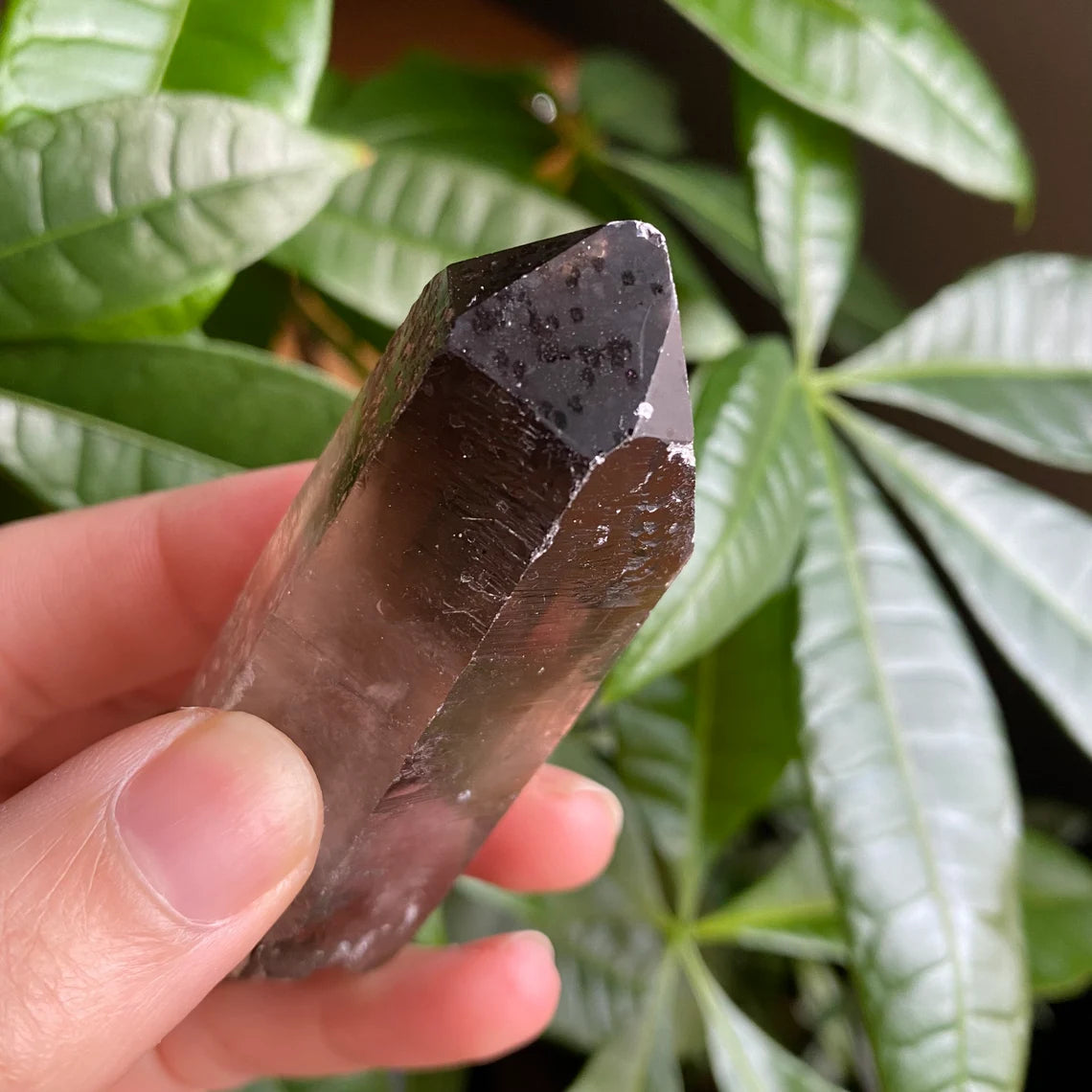 Smoky Quartz Point | 3.7 oz | 3.7 in | Crystal Point | Natural Quartz | SP15