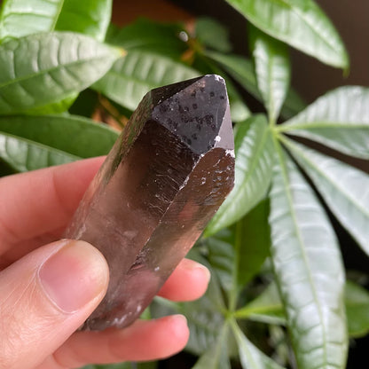 Smoky Quartz Point | 3.7 oz | 3.7 in | Crystal Point | Natural Quartz | SP15