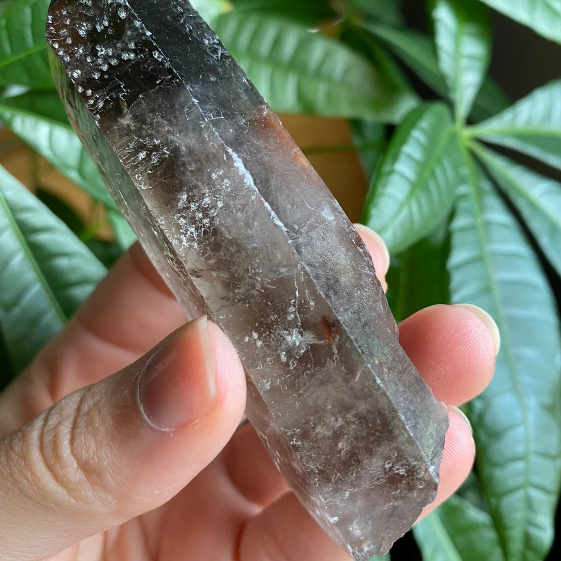 Smoky Quartz Point | 3.7 oz | 3.7 in | Crystal Point | Natural Quartz | SP15