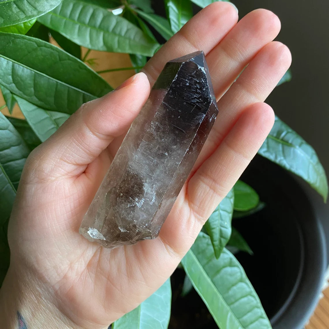 Smoky Quartz Point | 3.7 oz | 3.7 in | Crystal Point | Natural Quartz | SP15