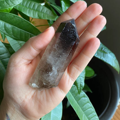 Smoky Quartz Point | 3.7 oz | 3.7 in | Crystal Point | Natural Quartz | SP15