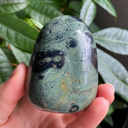 Kambaba Jasper Freeform | 11.4 oz | 2.7 in | Crystal Freeform | Palm Stone | K3