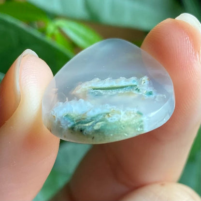 Tree Agate Cabochon | 1.25" | Tear Shaped Stone | Dendritic Agate | Cabochon | For Wire Wrapping | For Jewelry Making | Teardrop Shape