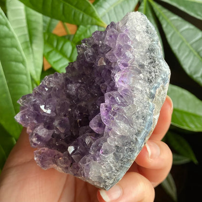 Raw Amethyst Geode | 11.1 oz | 3.2” | Rough Amethyst | Cathedral Amethyst | Crystal Cluster | Cut Base | Uruguay | Free Standing | AG1