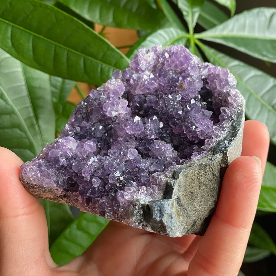 Raw Amethyst Geode | 10.6 oz | 3.1” | Rough Amethyst | Cathedral Amethyst | Crystal Cluster | Cut Base | Uruguay | Free Standing | AG2