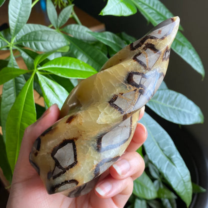 Septarian Flame | 5.7" | 15.9 oz | Dragon Stone | Septarian Crystal | Crystal Flame | Crystal Carving | SF2