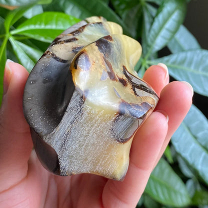 Septarian Flame | 5.7" | 15.9 oz | Dragon Stone | Septarian Crystal | Crystal Flame | Crystal Carving | SF2