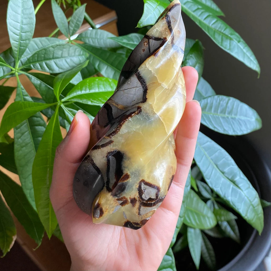 Septarian Flame | 5.7" | 15.9 oz | Dragon Stone | Septarian Crystal | Crystal Flame | Crystal Carving | SF2