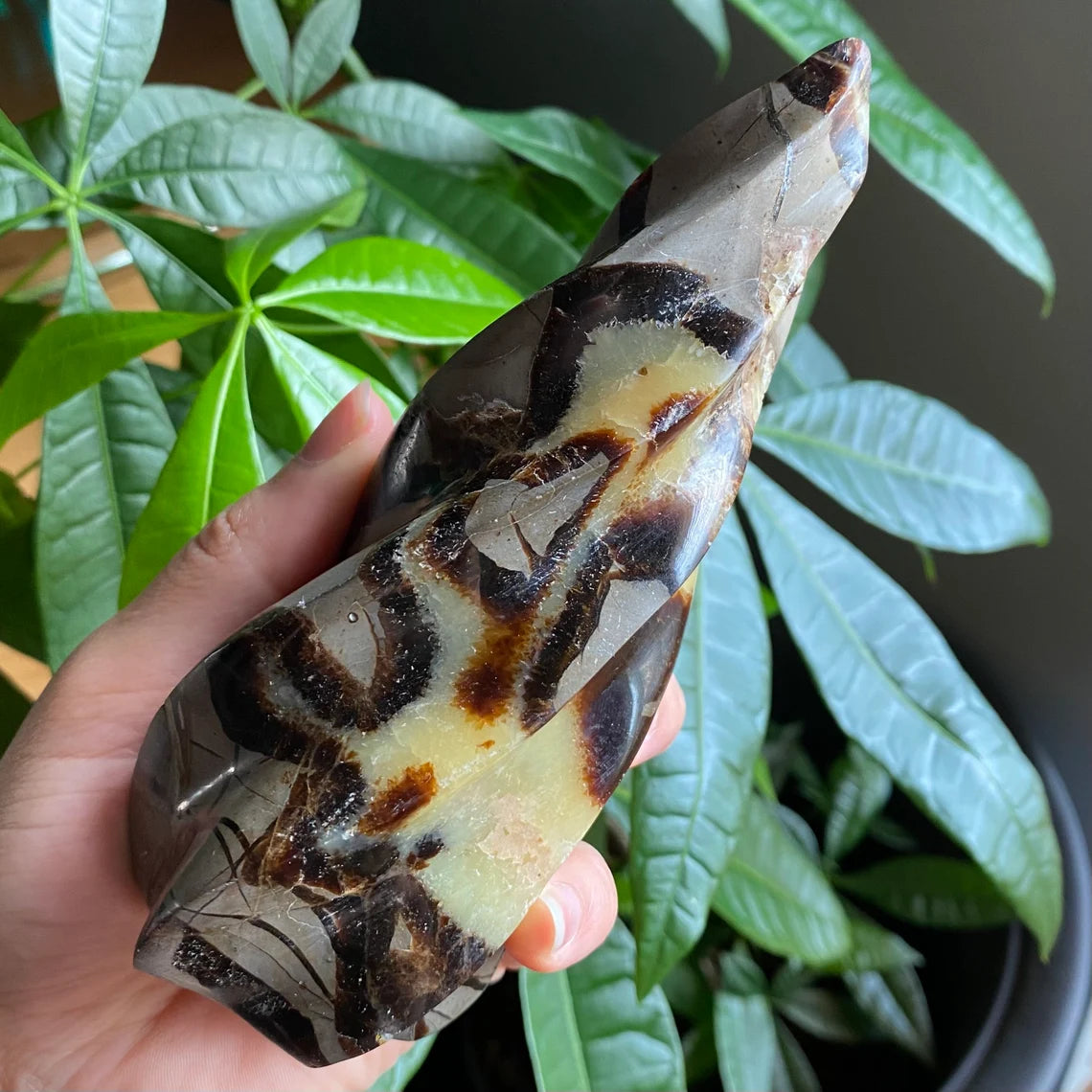 Septarian Flame | 5.7" | 15.4 oz | Dragon Stone | Septarian Crystal | Crystal Flame | Crystal Carving | SF3