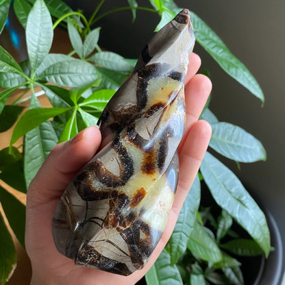 Septarian Flame | 5.7" | 15.4 oz | Dragon Stone | Septarian Crystal | Crystal Flame | Crystal Carving | SF3