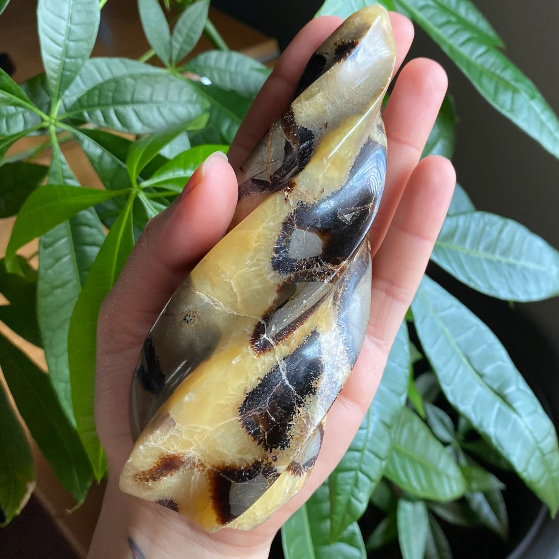 Septarian Flame | 5.7" | 12.4 oz | Dragon Stone | Septarian Crystal | Crystal Flame | Crystal Carving | SF4