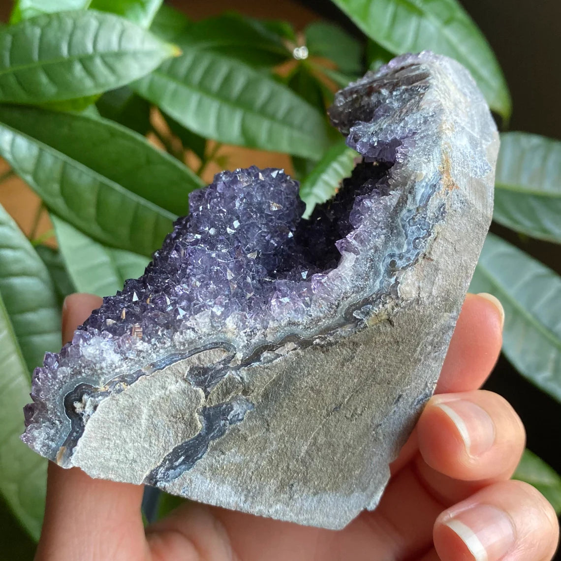 Raw Amethyst Geode | 11.5 oz | 3.6” | Rough Amethyst | Cathedral Amethyst | Crystal Cluster | Cut Base | Uruguay | Free Standing | AG4