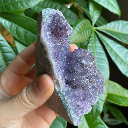 Raw Amethyst Geode | 11.5 oz | 3.6” | Rough Amethyst | Cathedral Amethyst | Crystal Cluster | Cut Base | Uruguay | Free Standing | AG4