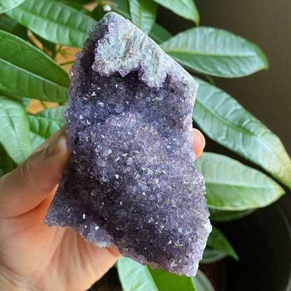 Raw Amethyst Geode | 11.5 oz | 3.6” | Rough Amethyst | Cathedral Amethyst | Crystal Cluster | Cut Base | Uruguay | Free Standing | AG4