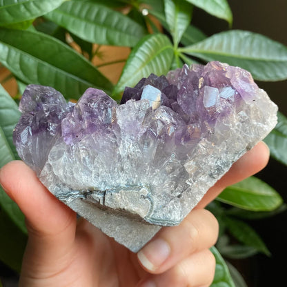 Raw Amethyst Geode | 13.3 oz | 3.3” | Rough Amethyst | Cathedral Amethyst | Crystal Cluster | Cut Base | Uruguay | Free Standing | AG5