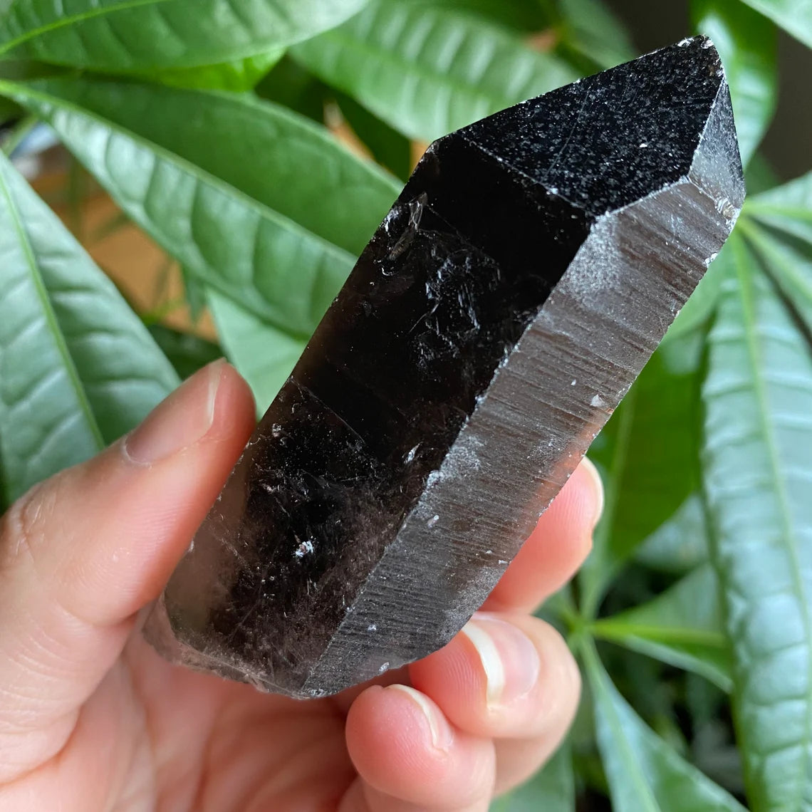 Smoky Quartz Point | 5.1 oz | 3.5 in | Crystal Point | Natural Quartz | SP16
