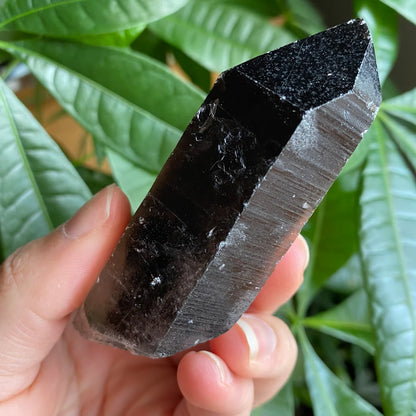 Smoky Quartz Point | 5.1 oz | 3.5 in | Crystal Point | Natural Quartz | SP16