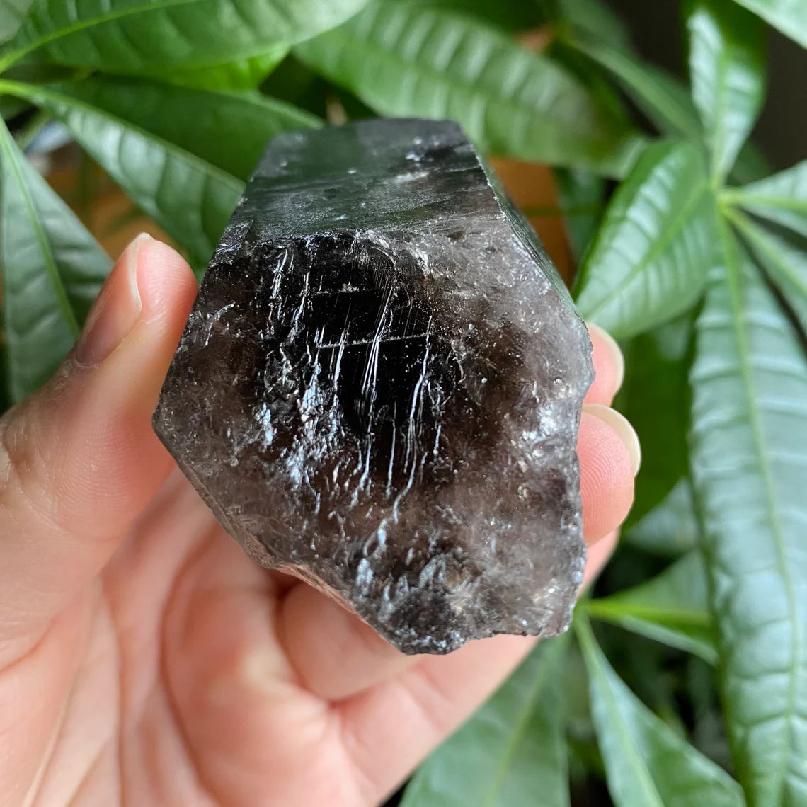 Smoky Quartz Point | 5.1 oz | 3.5 in | Crystal Point | Natural Quartz | SP16