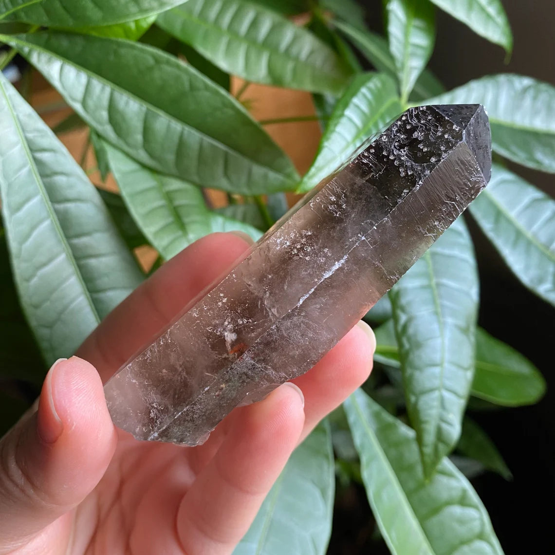 Smoky Quartz Point | 3.7 oz | 3.7 in | Crystal Point | Natural Quartz | SP15