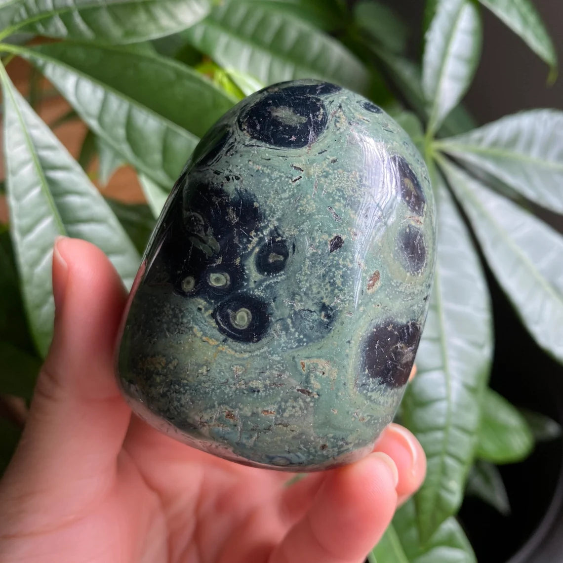 Kambaba Jasper Freeform | 11.4 oz | 2.7 in | Crystal Freeform | Palm Stone | K3