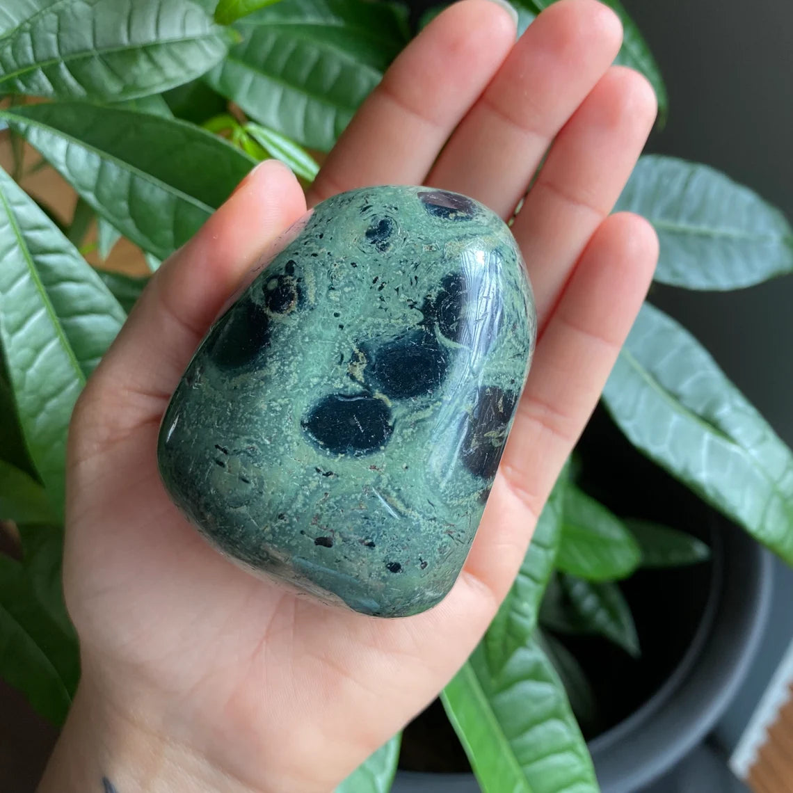 Kambaba Jasper Freeform | 11.4 oz | 2.7 in | Crystal Freeform | Palm Stone | K3