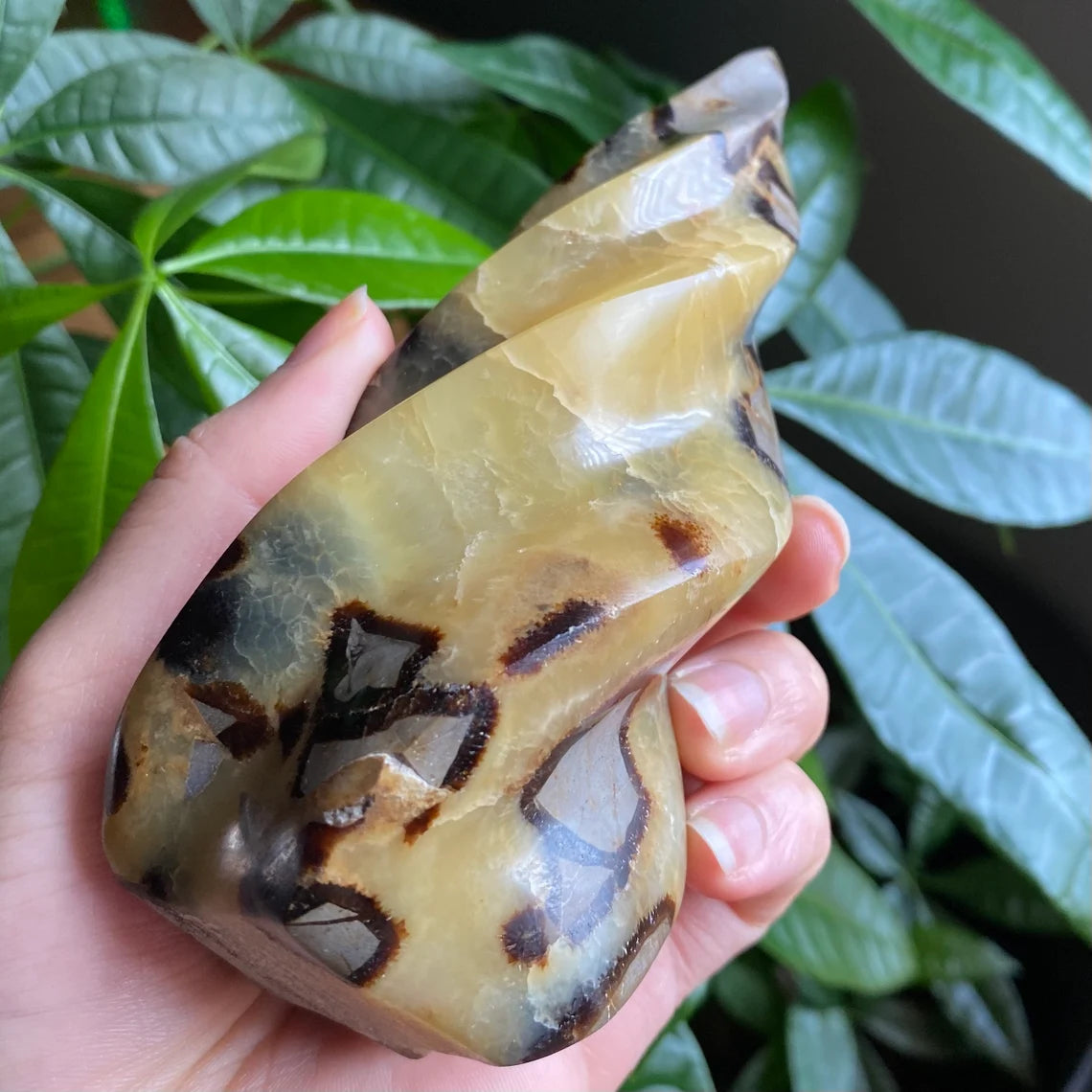 Septarian Flame | 5.7" | 15.9 oz | Dragon Stone | Septarian Crystal | Crystal Flame | Crystal Carving | SF2