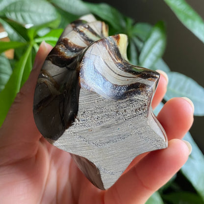Septarian Flame | 5.7" | 15.4 oz | Dragon Stone | Septarian Crystal | Crystal Flame | Crystal Carving | SF3