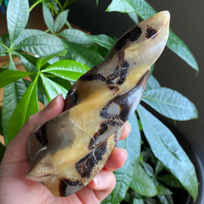 Septarian Flame | 5.7" | 12.4 oz | Dragon Stone | Septarian Crystal | Crystal Flame | Crystal Carving | SF4
