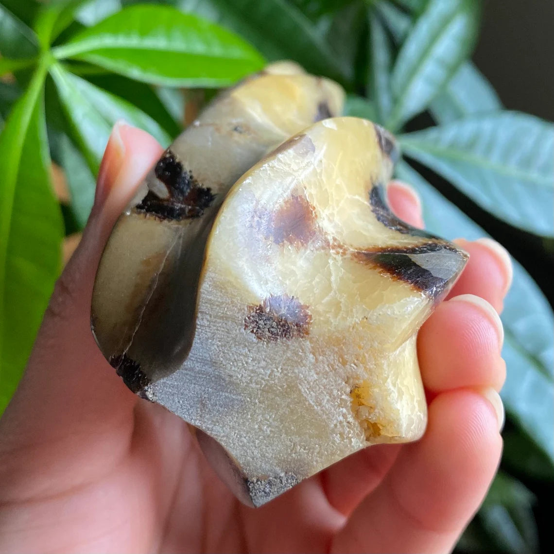 Septarian Flame | 5.7" | 12.4 oz | Dragon Stone | Septarian Crystal | Crystal Flame | Crystal Carving | SF4