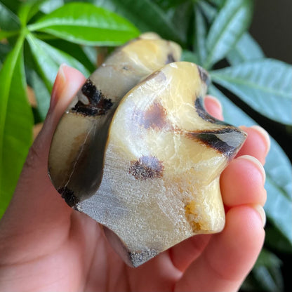 Septarian Flame | 5.7" | 12.4 oz | Dragon Stone | Septarian Crystal | Crystal Flame | Crystal Carving | SF4