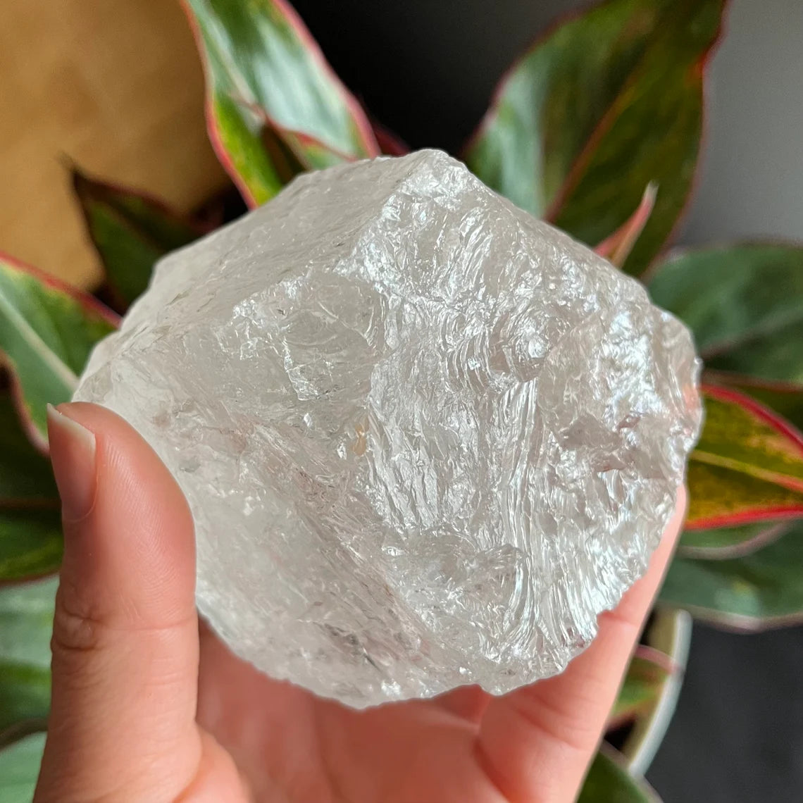 Rough Clear Quartz | 1lb 0.7 oz | 3.4”  | Rough Stone | Palm Size Stone | Q8