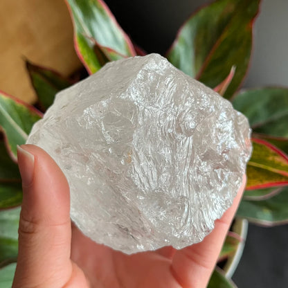 Rough Clear Quartz | 1lb 0.7 oz | 3.4”  | Rough Stone | Palm Size Stone | Q8