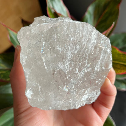 Rough Clear Quartz | 1lb 0.7 oz | 3.4”  | Rough Stone | Palm Size Stone | Q8