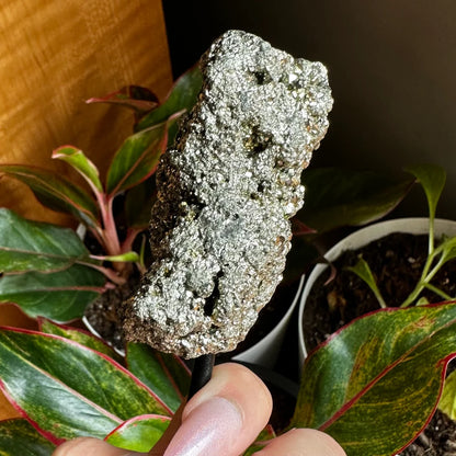 Pyrite Cluster on Stand | 9.8 oz | 4.8" | Pyrite | Mineral Specimen | Fools Gold | Attract Abundance | Pyrite Specimen | PS1