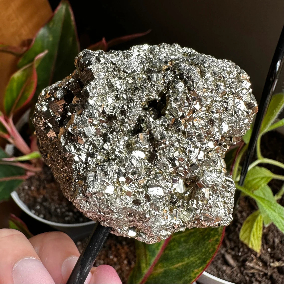 Pyrite Cluster on Stand | 10.7 oz | 4.2" | Pyrite | Mineral Specimen | Fools Gold | Attract Abundance | Pyrite Specimen | PS2