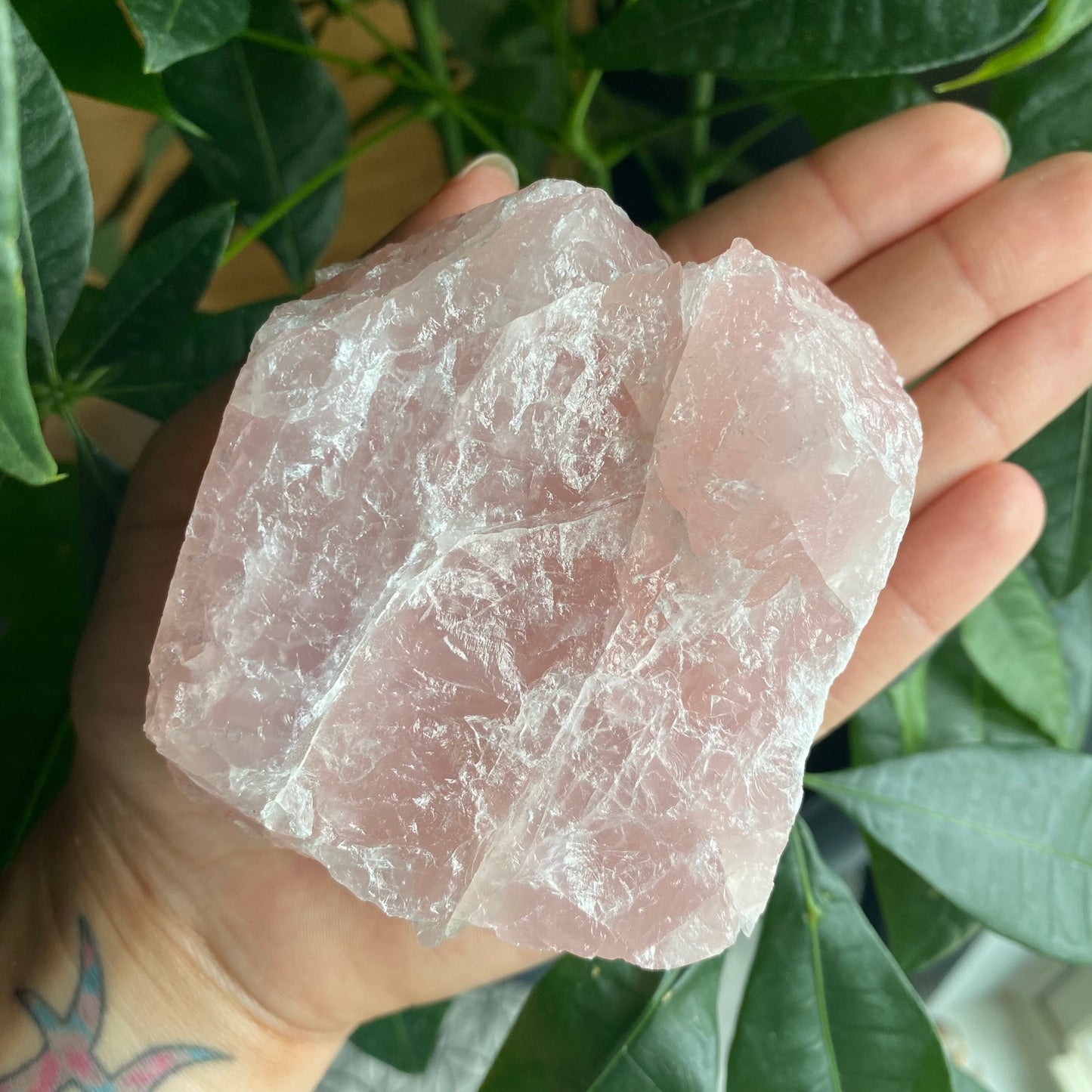 Rough Rose Quartz | 17.9 oz | 3.7”  | Rough Stone | Palm Size Stone | R2