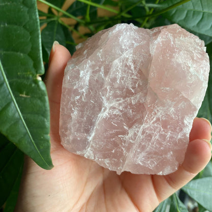 Rough Rose Quartz | 17.9 oz | 3.7”  | Rough Stone | Palm Size Stone | R2