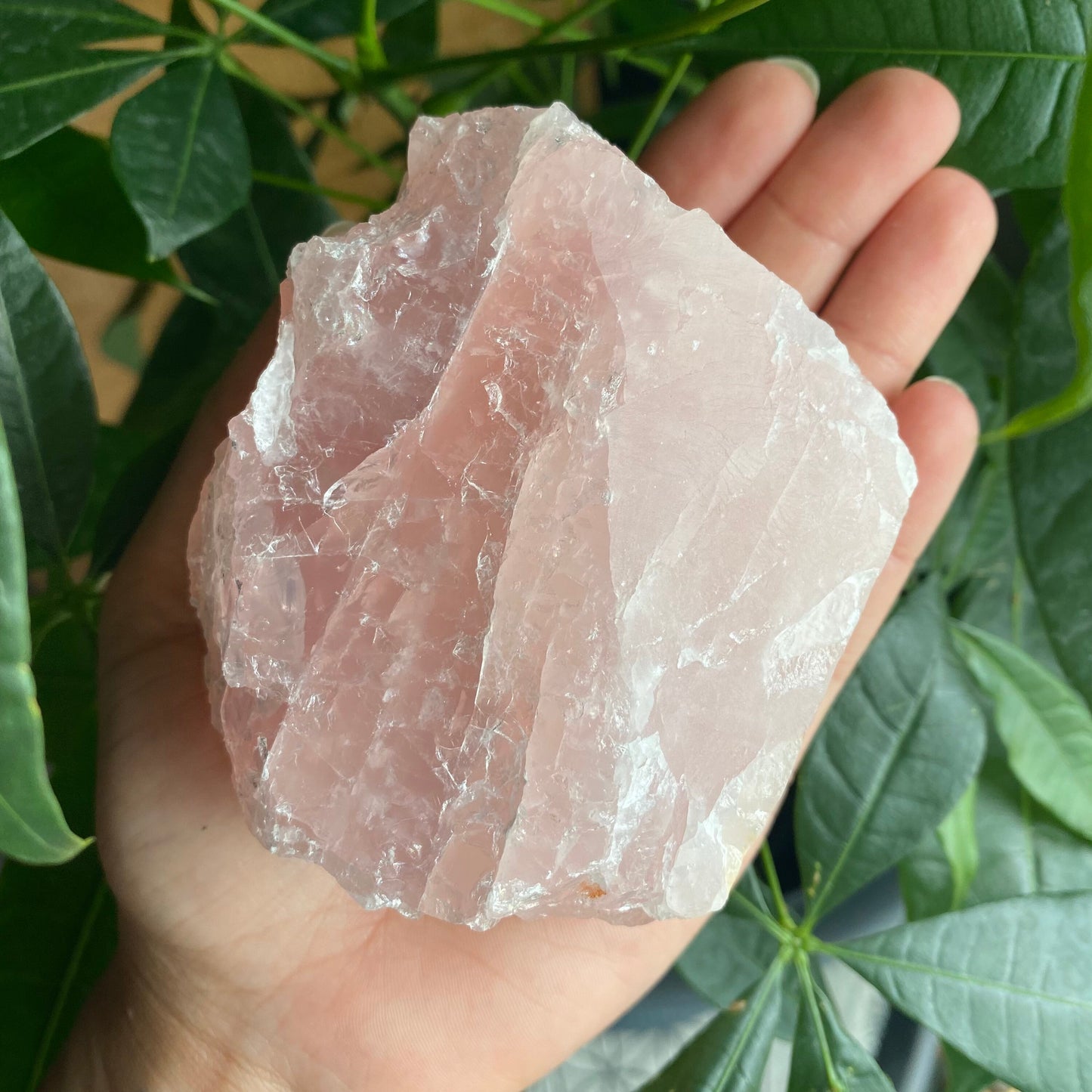 Rough Rose Quartz | 17.9 oz | 3.7”  | Rough Stone | Palm Size Stone | R2