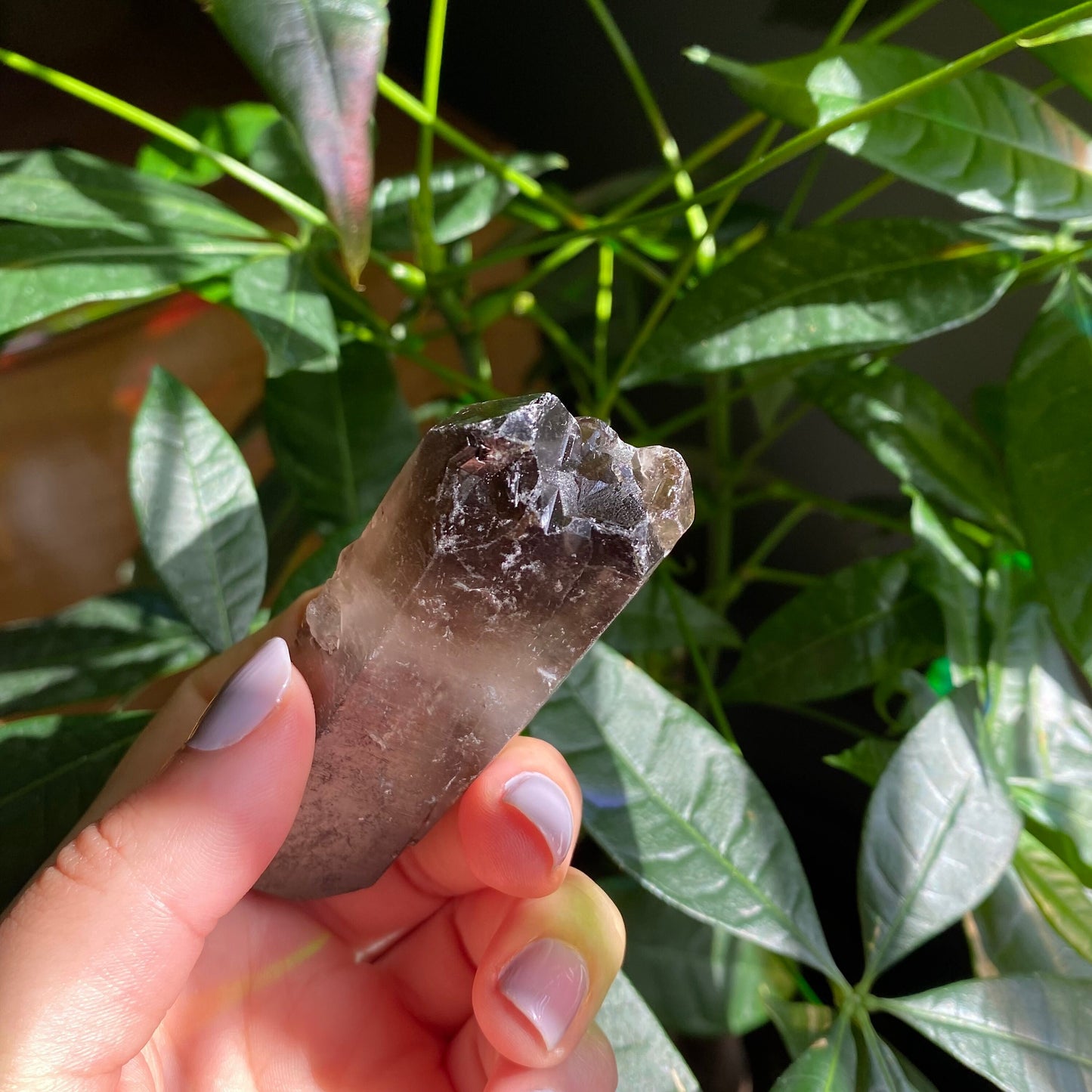 Smoky Quartz Point | 3 oz | 3.4 in | Crystal Point