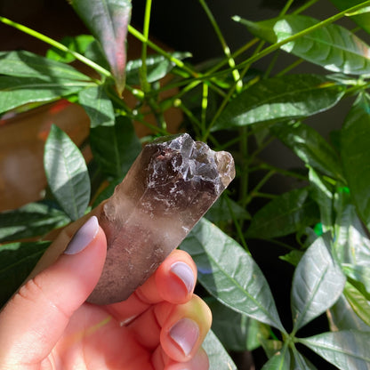 Smoky Quartz Point | 3 oz | 3.4 in | Crystal Point
