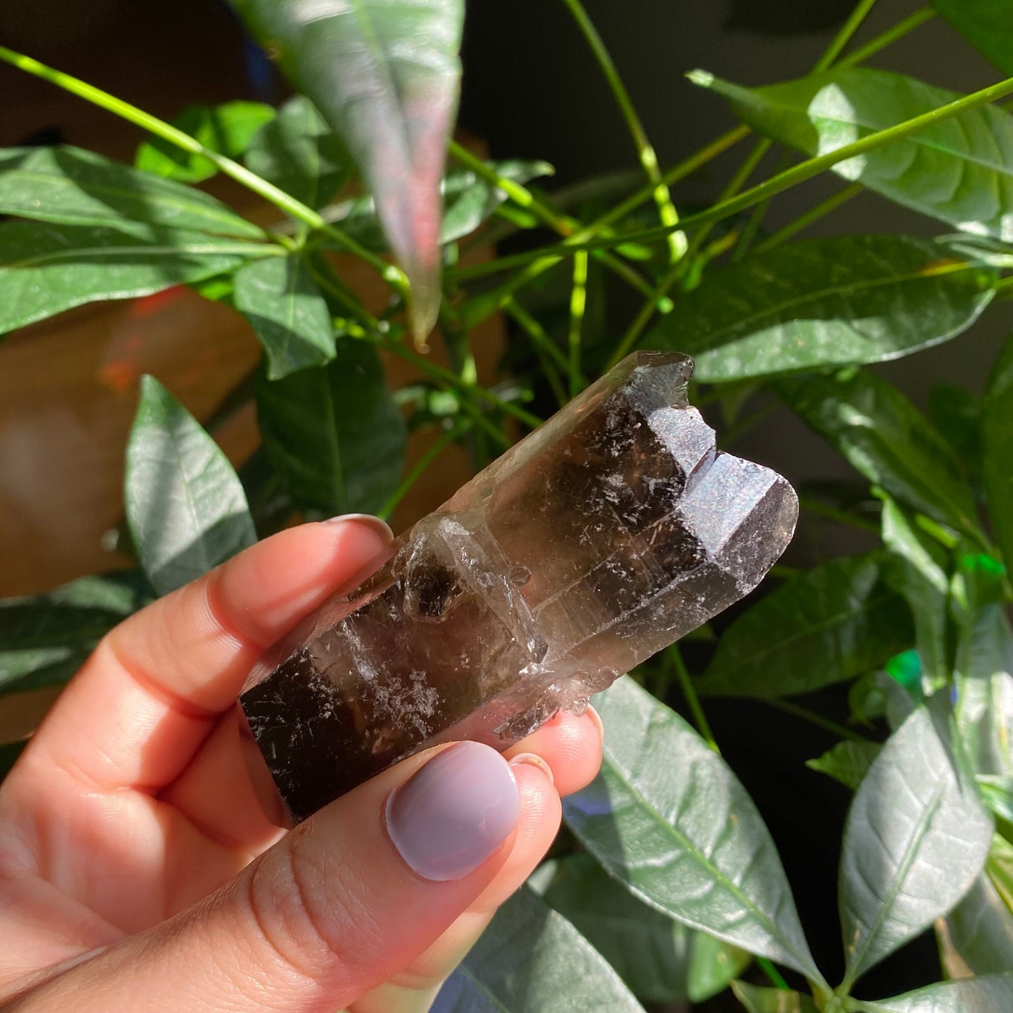 Smoky Quartz Point | 3 oz | 3.4 in | Crystal Point