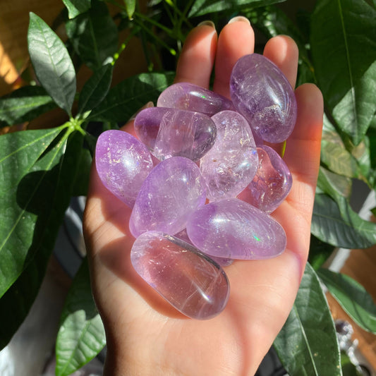 Large Amethyst Tumbled Stone | Tumbled Stone | Intuitively Selected (random)