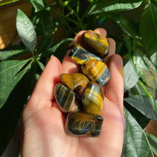 Blue Tigers Eye Tumbled Stone | Tumbled Stone | Intuitively Selected (random)