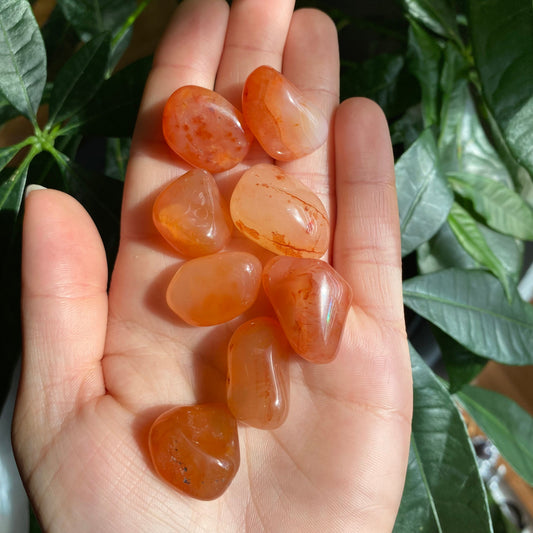 Carnelian Tumbled Stone | Tumbled Stone | Intuitively Selected (random)