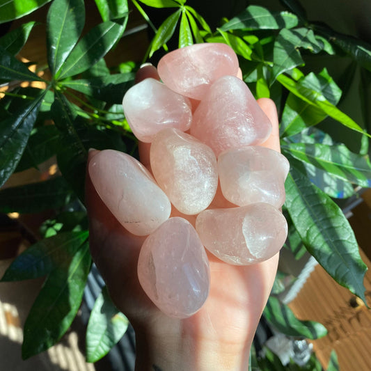 XL Rose Quartz Tumbled Stone | Palm Stone